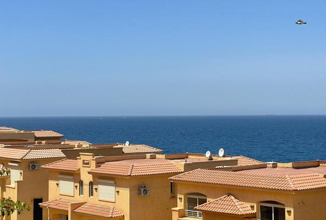 8016819 - صورة العقار 2