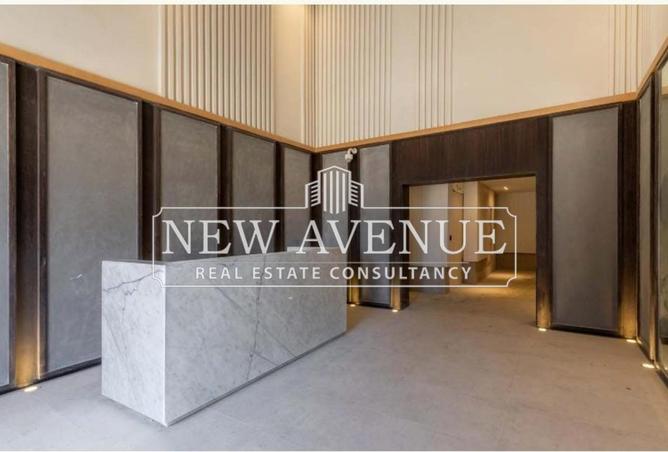 8251398 - Property Image 3