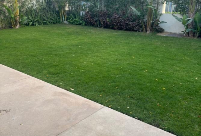 8353943 - الصورة الرئيسية للعقار