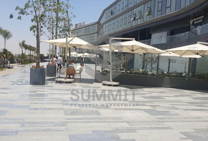 8551249 - Property Image 3