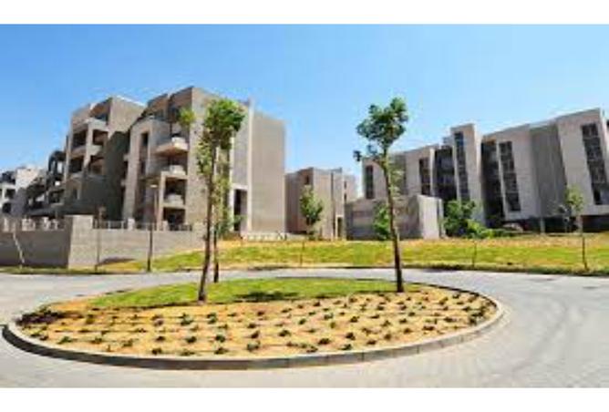 7984243 - Property Image 3
