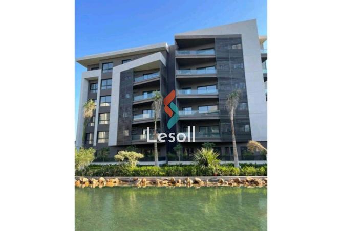 8218756 - Property Image 3