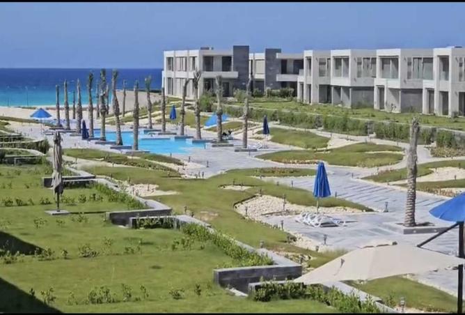 8315451 - Property Image 2