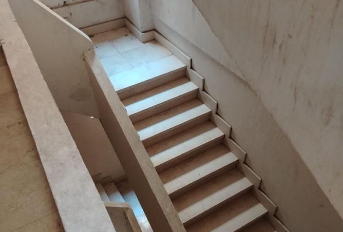 8100320 - صورة العقار 3