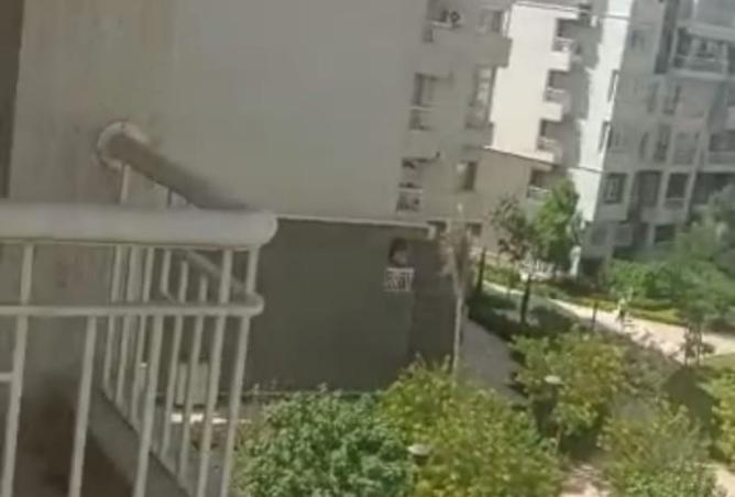 8174227 - صورة العقار 3