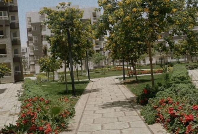 8298012 - الصورة الرئيسية للعقار