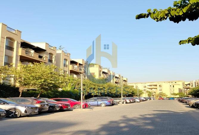 7956936 - صورة العقار 3