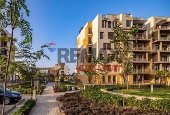 8411072 - Property Image 3