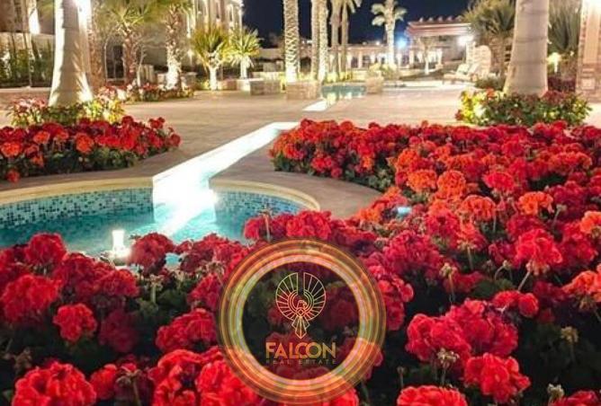 8439741 - صورة العقار 3