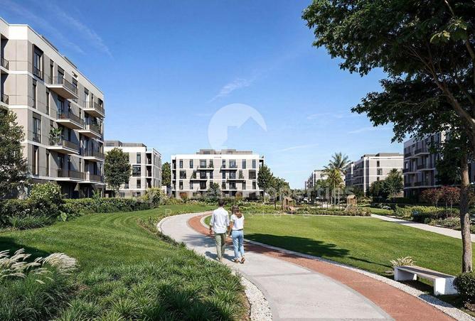 7946329 - Property Image 3