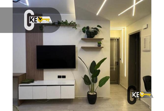 8075198 - Property Image 3