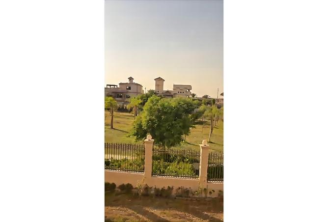 8007855 - صورة العقار 3