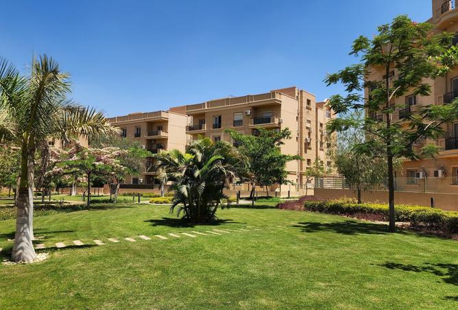 8034986 - صورة العقار 2