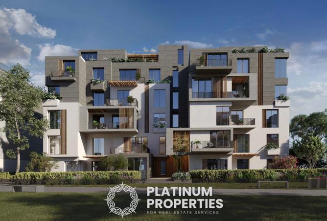 8277264 - Property Image 3