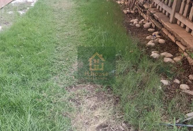 7951346 - صورة العقار 2