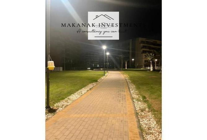 8039696 - Property Image 3