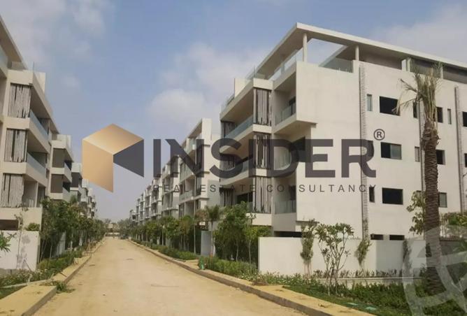 8193953 - Property Image 2