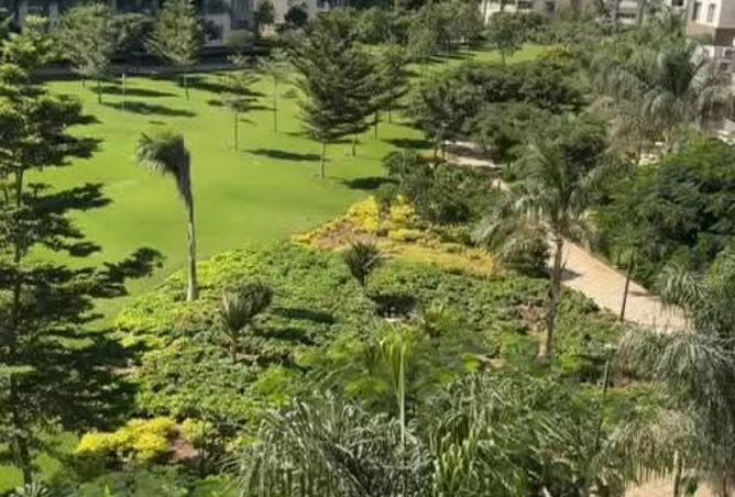 7960767 - صورة العقار 3
