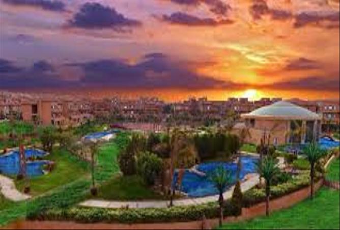 7969247 - صورة العقار 3