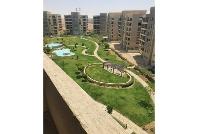 7957993 - صورة العقار 3