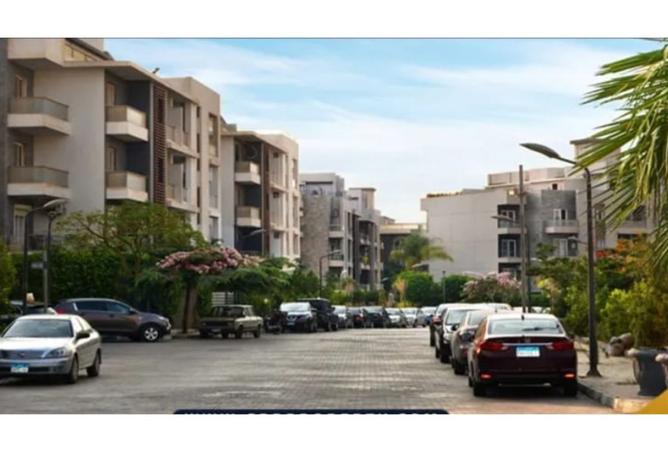 8082856 - Property Image 3