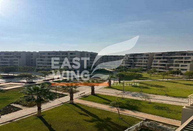 7992978 - Property Image 3