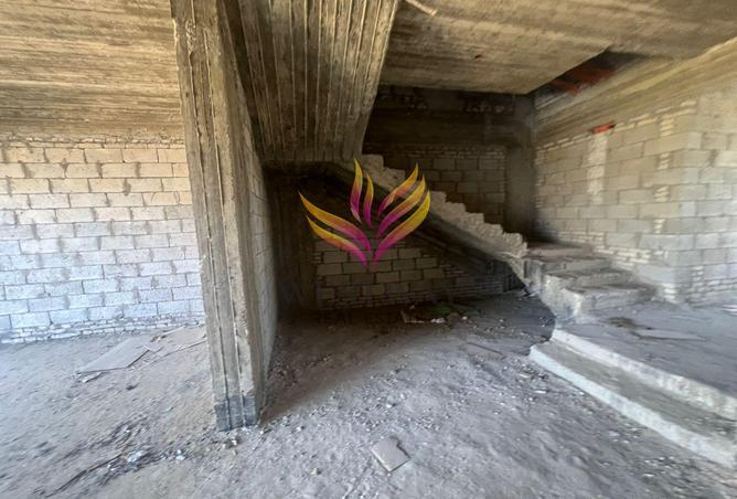 7969254 - صورة العقار 2