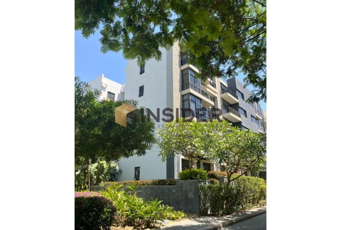 8236954 - الصورة الرئيسية للعقار