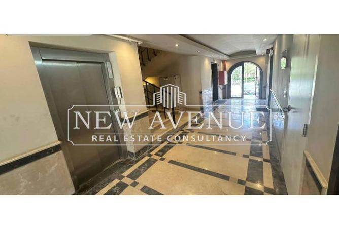 7915234 - Property Image 3
