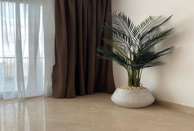 8392339 - Property Image 3