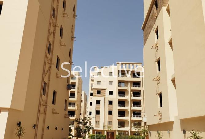 8002571 - صورة العقار 3