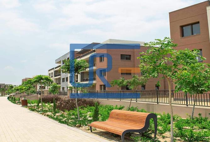 8072921 - Property Image 3