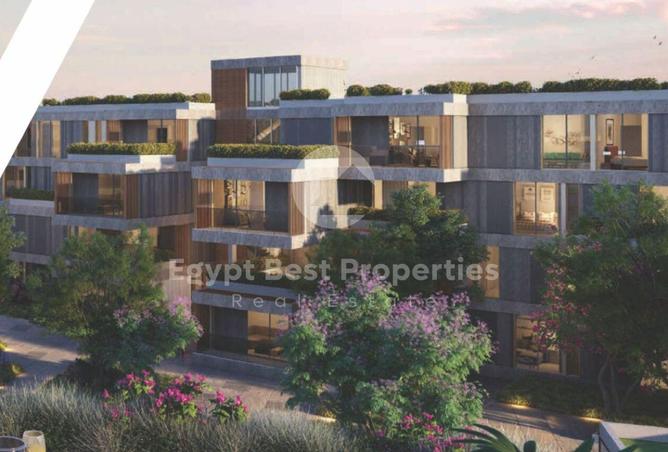 8240778 - Property Image 2