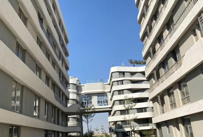 8383489 - Property Image 3