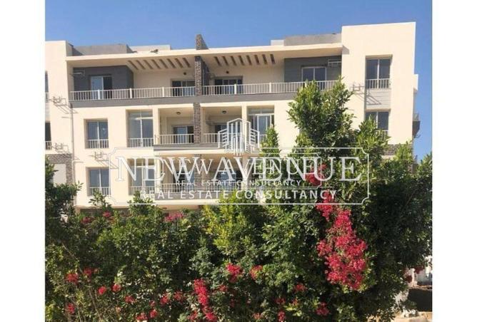 8381991 - صورة العقار 2