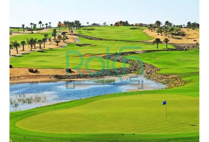 8377734 - Property Image 3