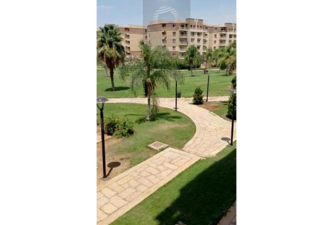 7911392 - صورة العقار 3