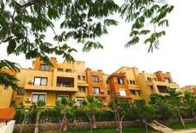 8299060 - صورة العقار 3