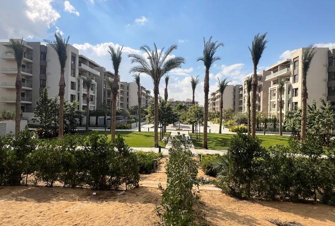 7957415 - الصورة الرئيسية للعقار