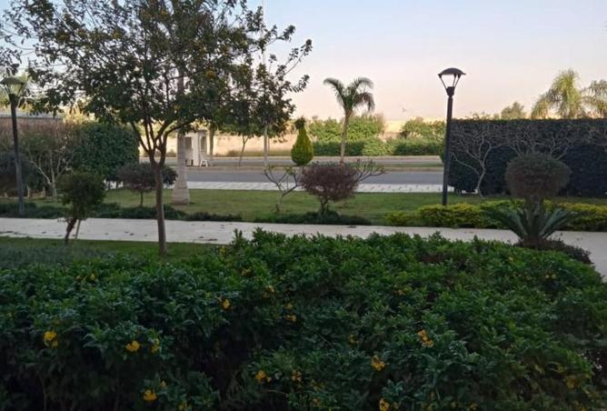 8453793 - الصورة الرئيسية للعقار