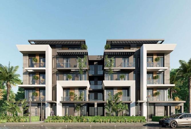 7974531 - Property Image 3