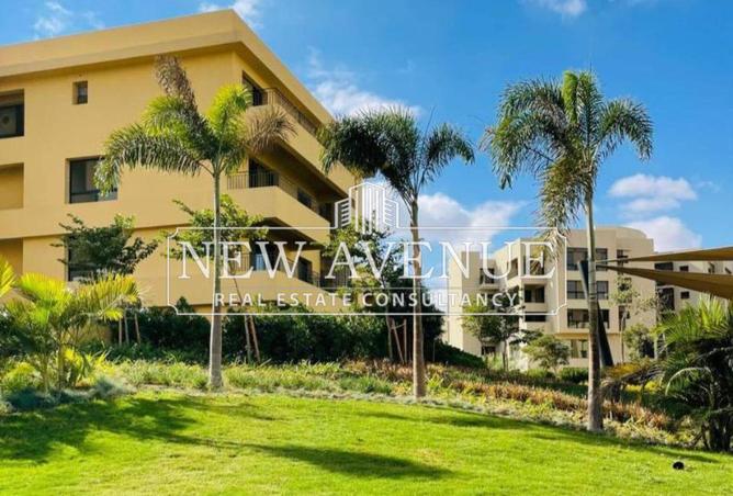 8216589 - الصورة الرئيسية للعقار