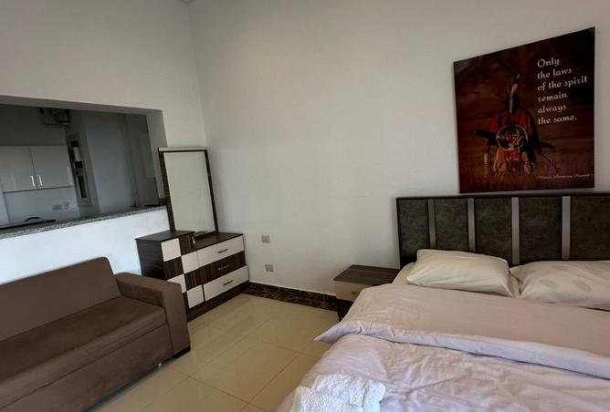 8527381 - Property Image 2