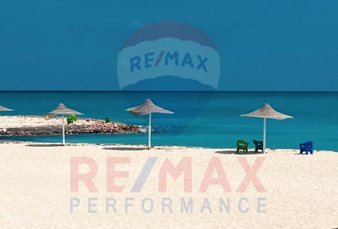 8183238 - صورة العقار 2