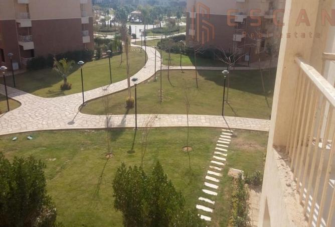 8261382 - الصورة الرئيسية للعقار