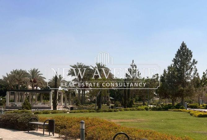 8022218 - Property Image 3