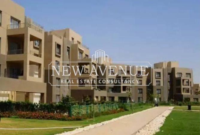 8410020 - Property Image 3