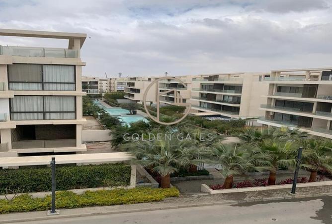 8231673 - Property Image 2