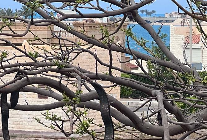 8301051 - Property Main Image