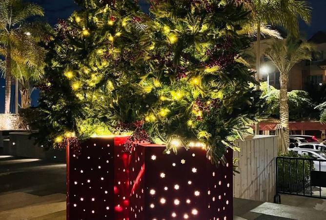 8497955 - Property Image 3